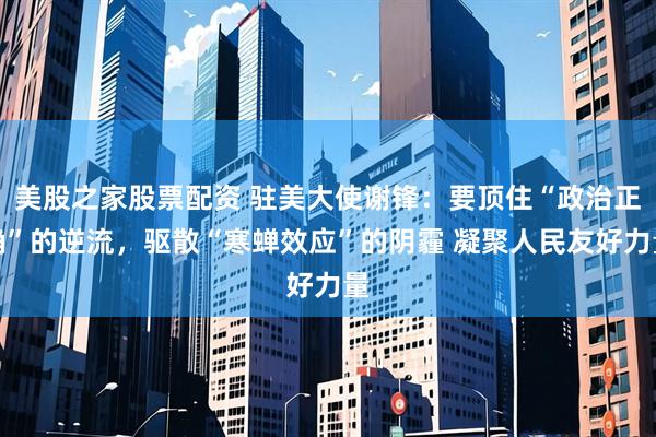 美股之家股票配资 驻美大使谢锋：要顶住“政治正确”的逆流，驱散“寒蝉效应”的阴霾 凝聚人民友好力量