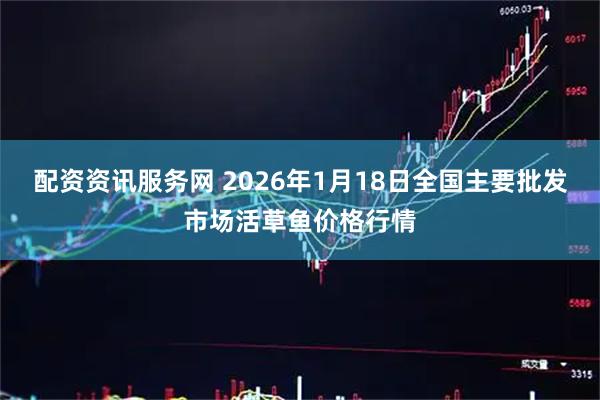 配资资讯服务网 2026年1月18日全国主要批发市场活草鱼价格行情