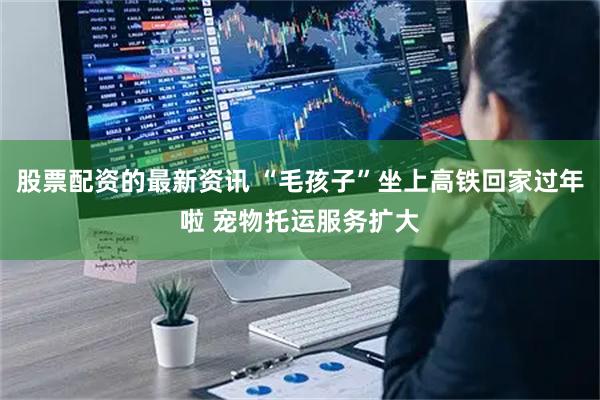 股票配资的最新资讯 “毛孩子”坐上高铁回家过年啦 宠物托运服务扩大